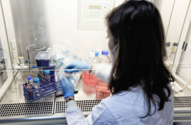 Unveiling the Secret: How to Find the Best Testosterone Doctors in Denver?