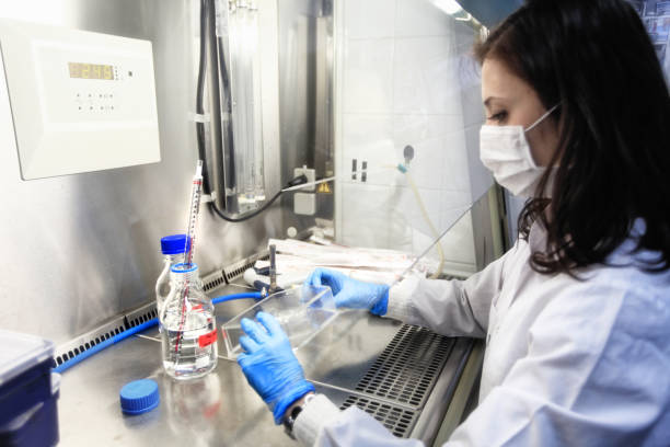 How Can You Enhance Masculinity? Meet The Expert Testosterone Doctors in Denver 