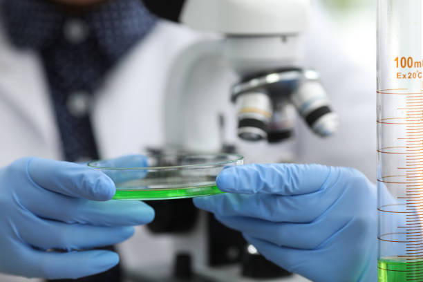 What is the Role of Denver's Expert Testosterone Doctors in Men’s Health?