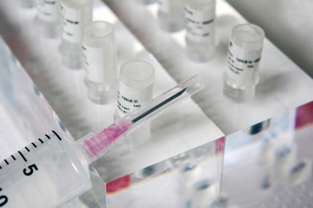 Evaluating the Best Testosterone Clinics and Doctors in Denver