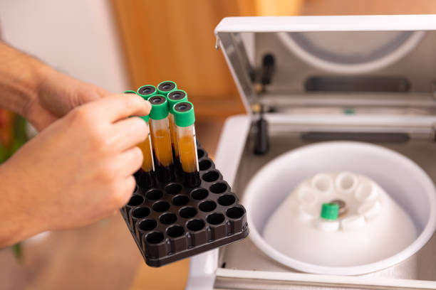 What is Driving Men to Denver's Top Testosterone Doctors? 