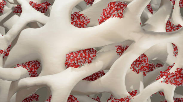 The Process of Testosterone Replacement Therapy in Denver